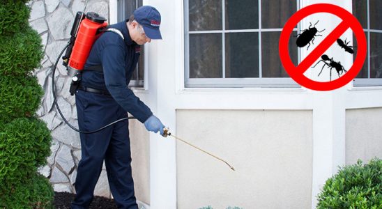 Mavişehir Bit İlaçlama böcek ilaçlama ve haşere kontrolü — ilaclama-tr.com